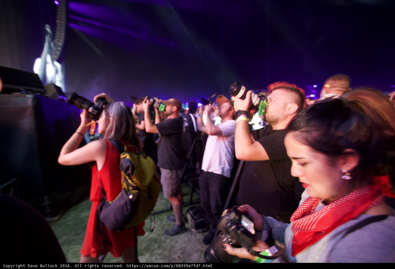 The Excitement of a Concert Crowd