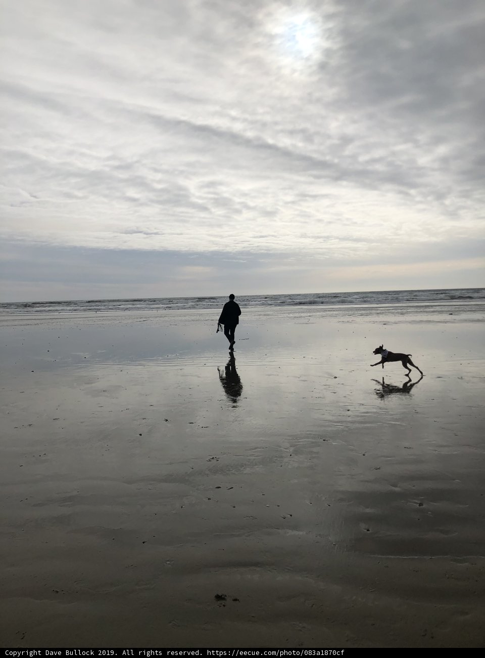 Walking with My Best Friend