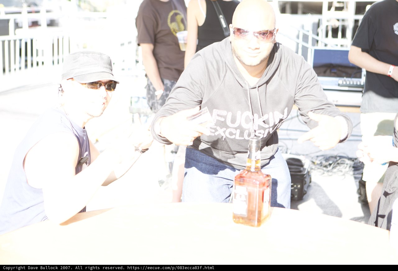 Shades and Sips