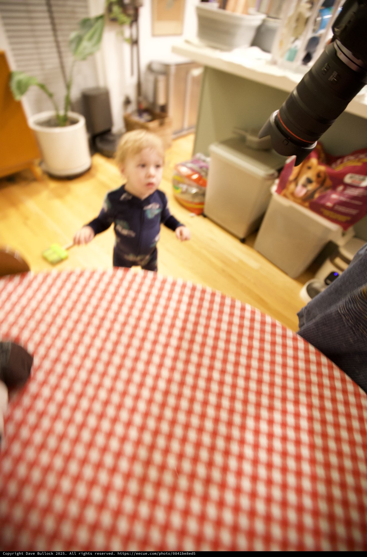 Toddler's Curious Gaze from Kitchen on Christmas Morning