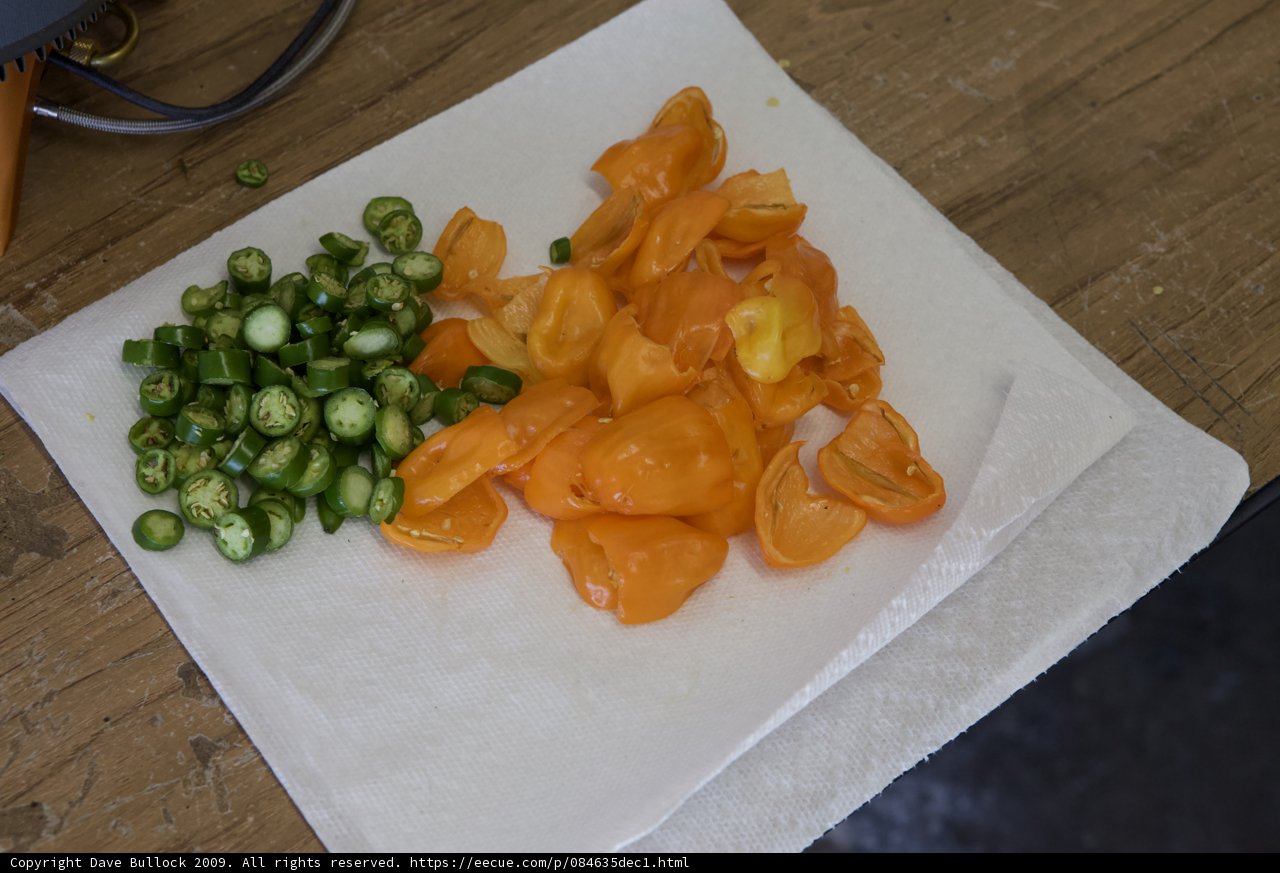 Pepper and Green Onion Delight