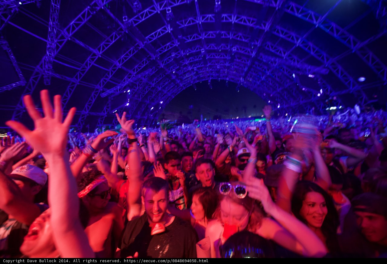 Hands Up in the Nightlife Crowd
