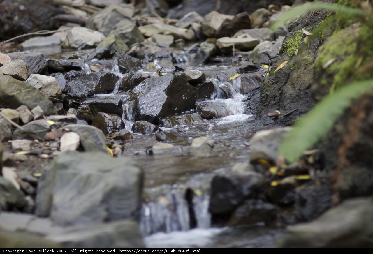 Rocky Creek Flow