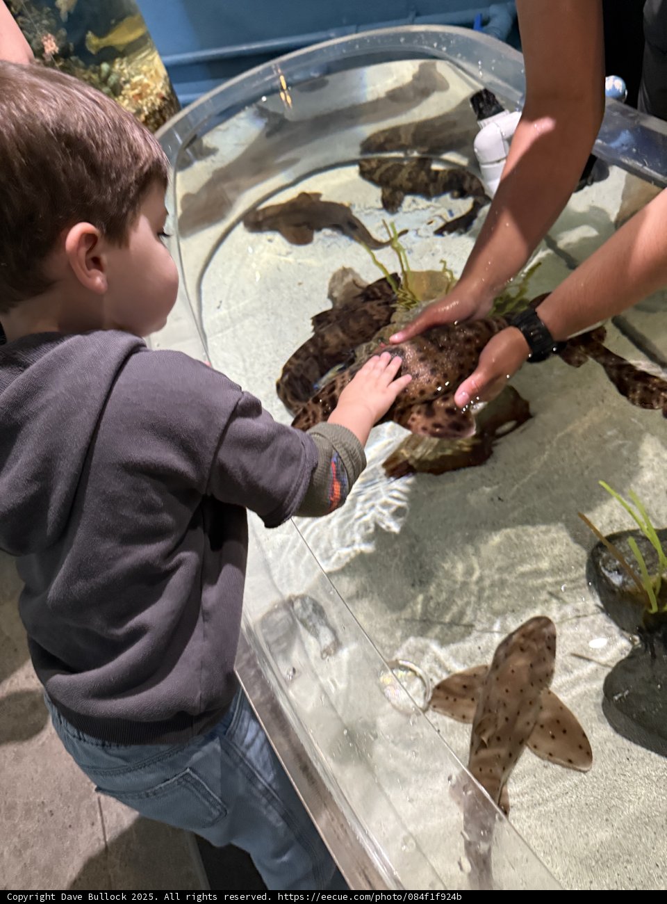Touching the Wonders of the Sea