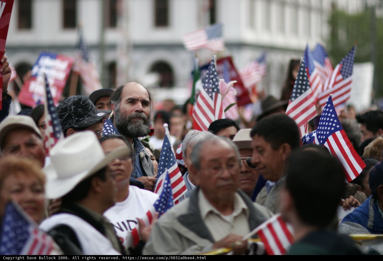 Patriotic Crowd with Flags