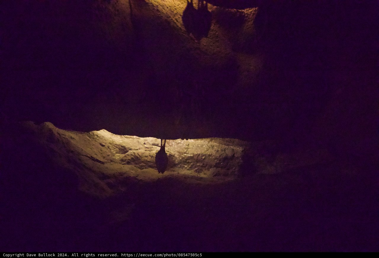 Enlightened Cave of Wonders