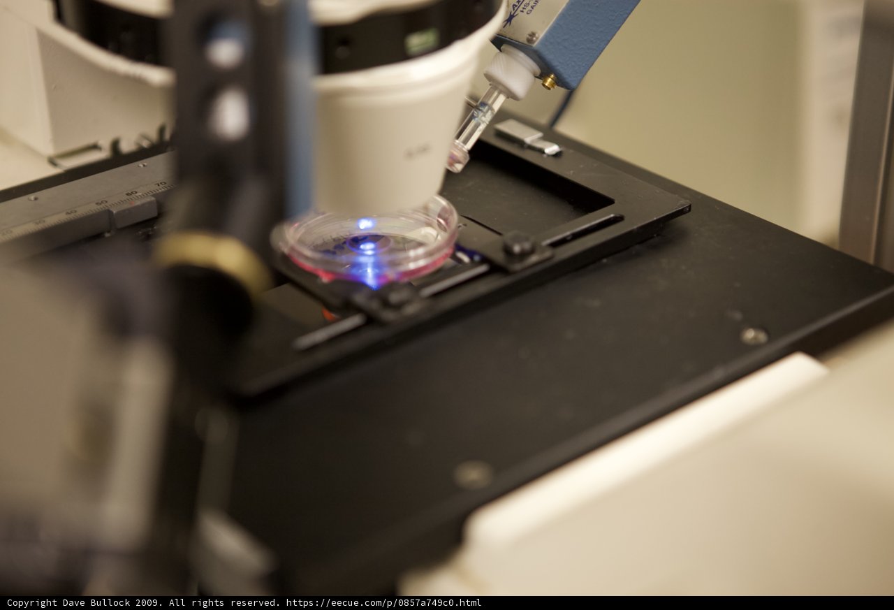 A Close Examination with a Blue Microscope