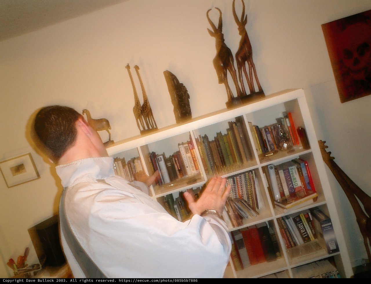 The Reader