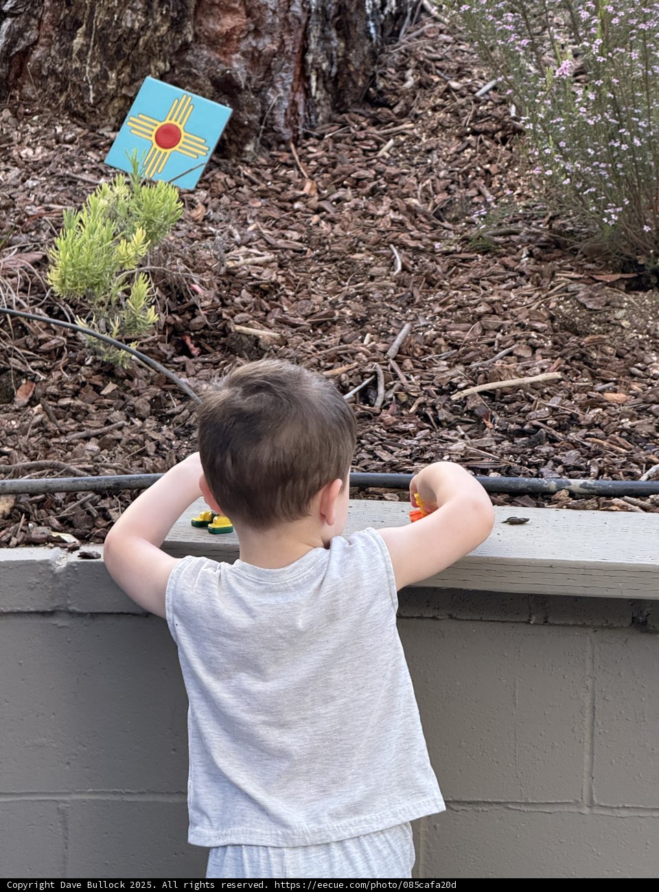 Young Explorer's Backyard Adventure