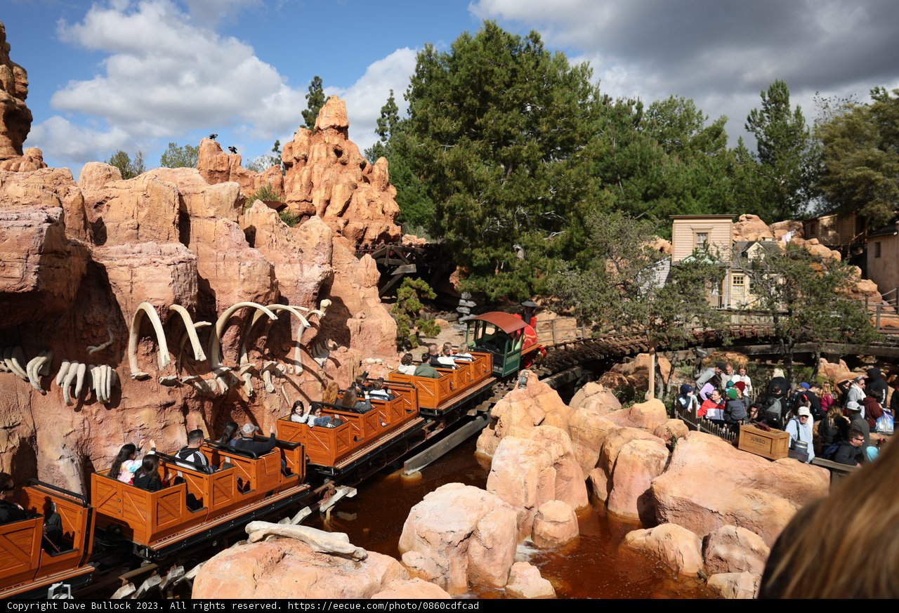 A Wild Train Ride Through the Disneyland Wilderness