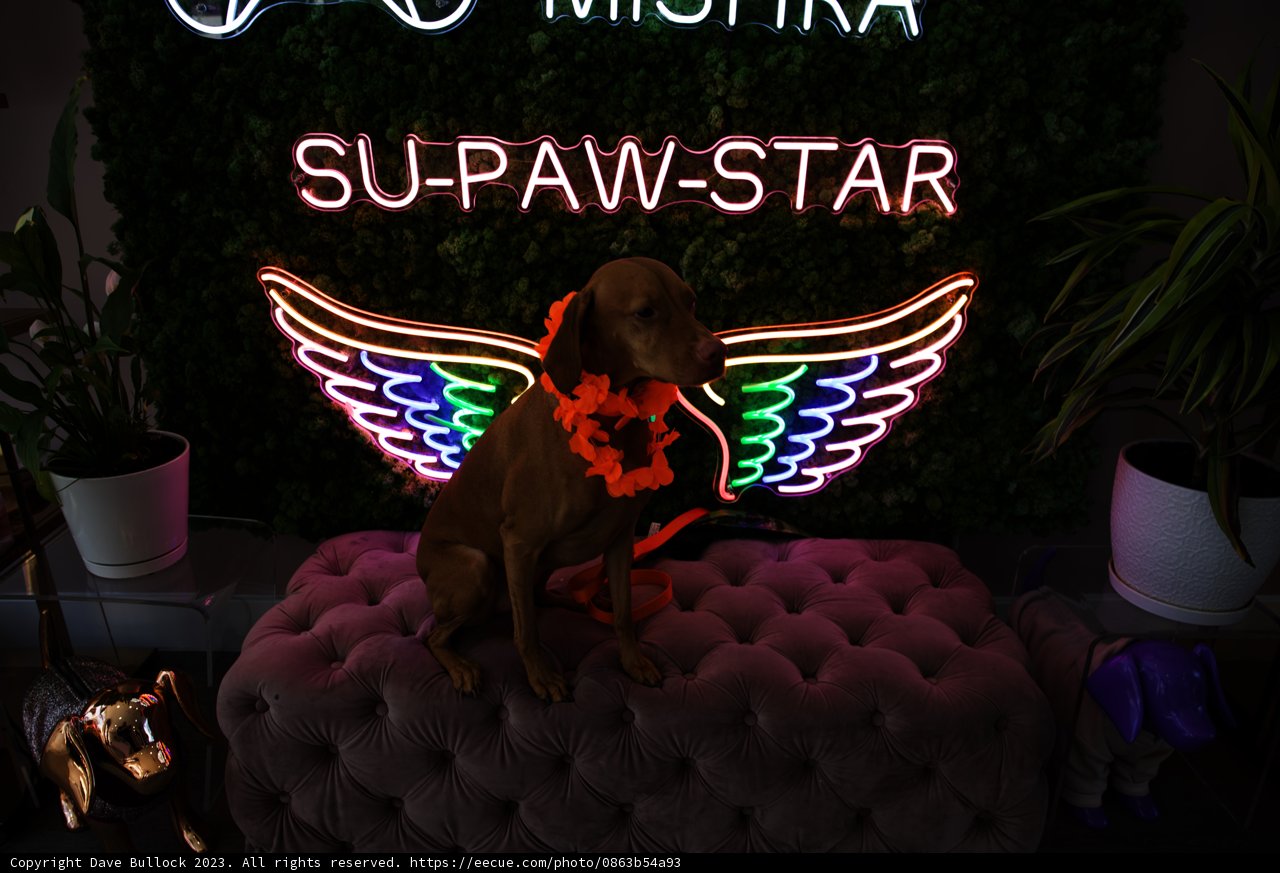 The Supaw Star of San Francisco