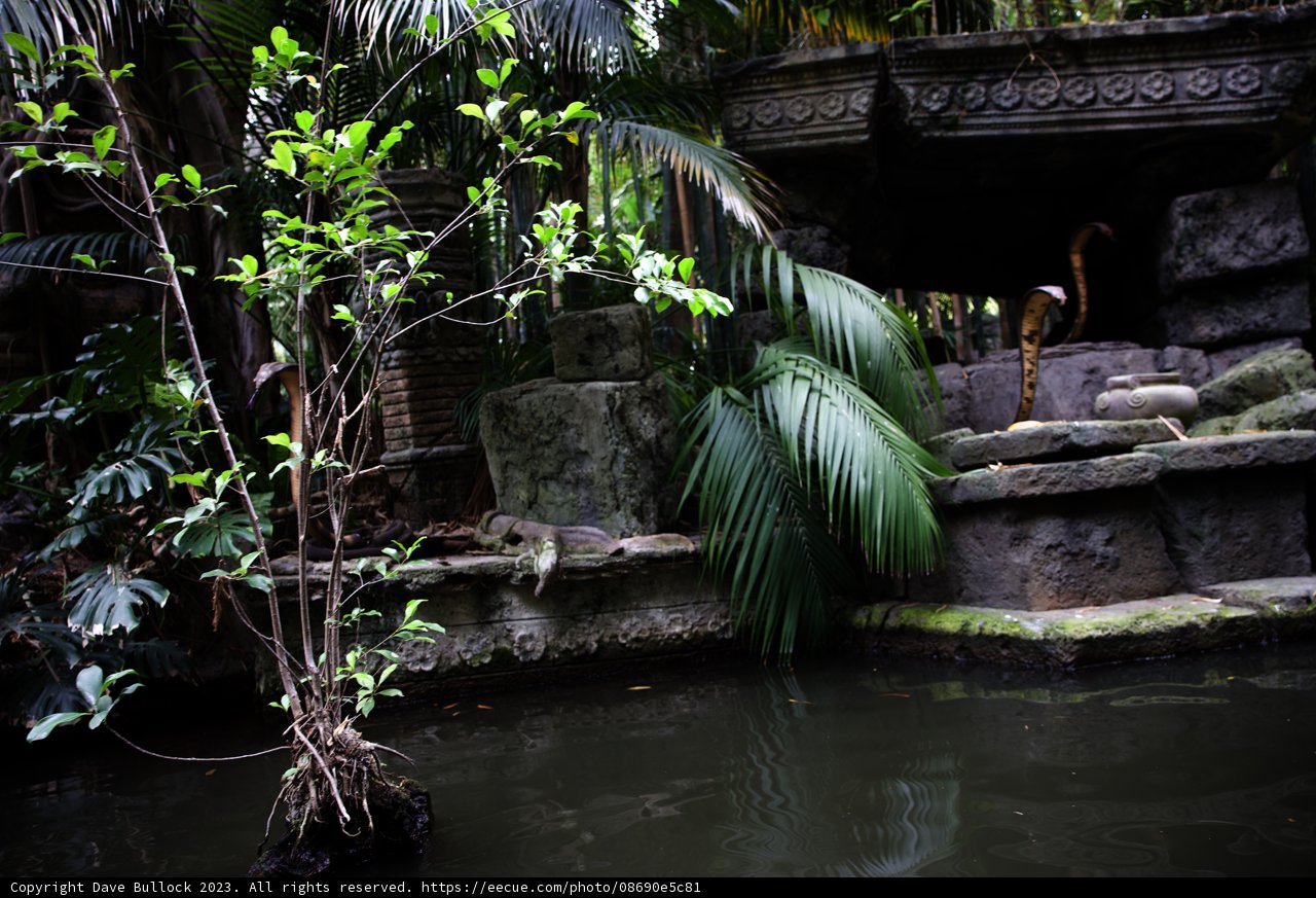 Serene Oasis at Disneyland