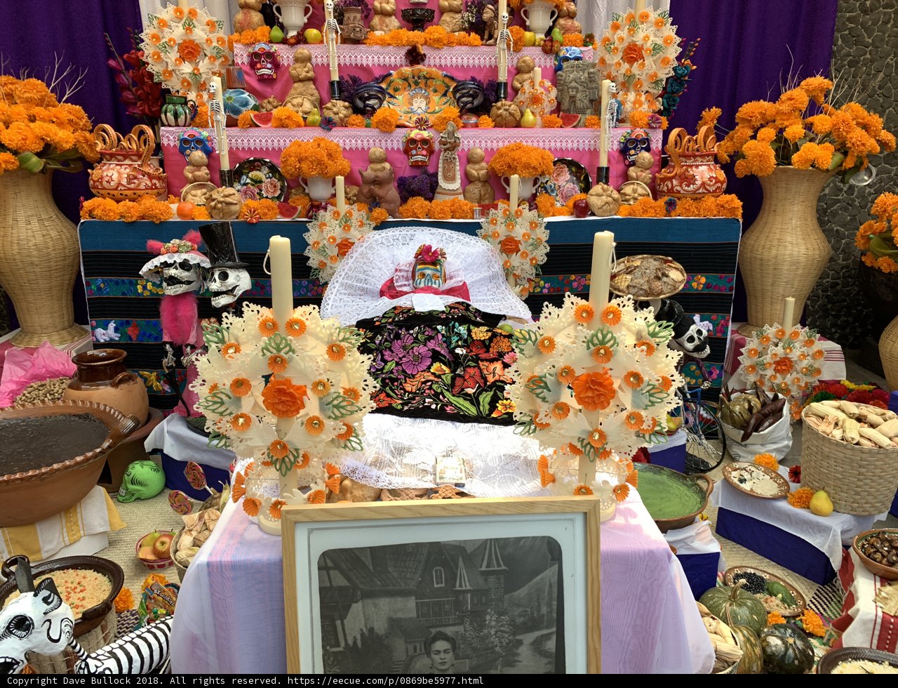 Frida Kahlo at the Floral Altar