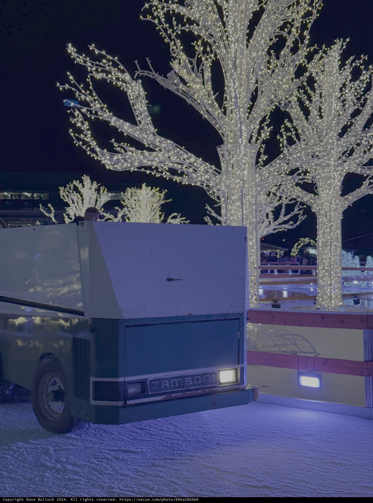 RV Parked Under Illuminated Holiday Trees at Night