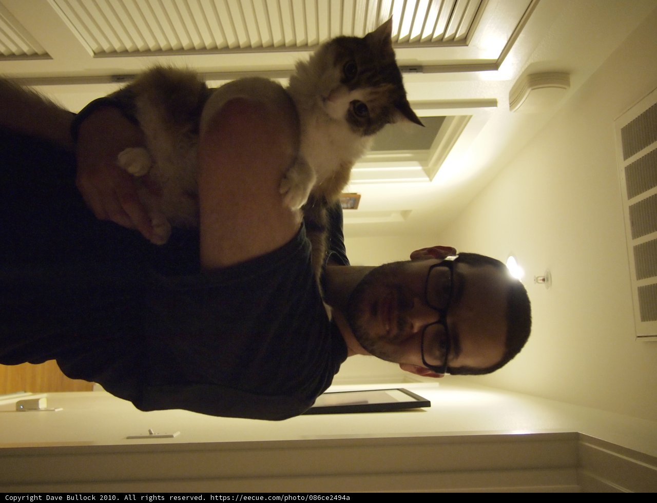 Man and his Feline Companion