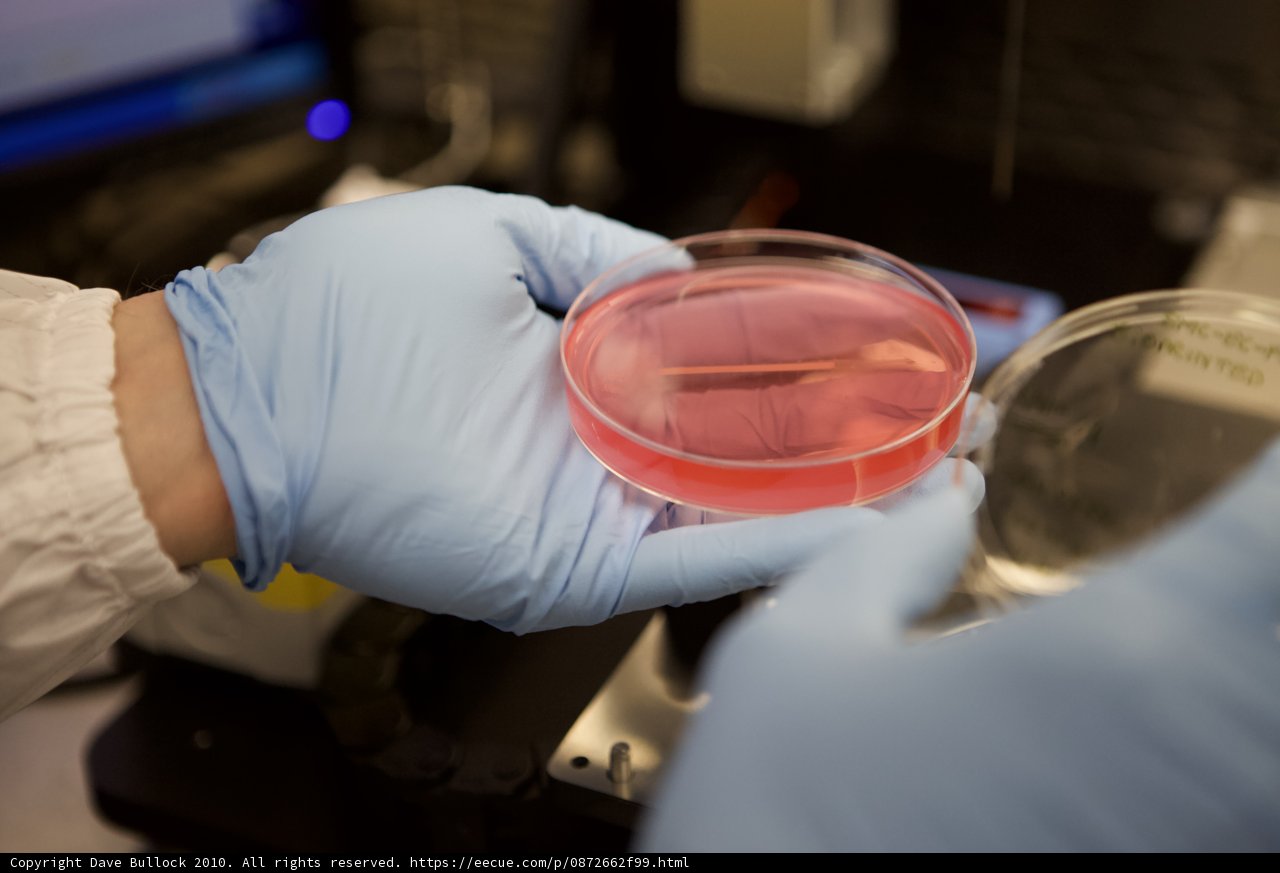 Discovering a Cure