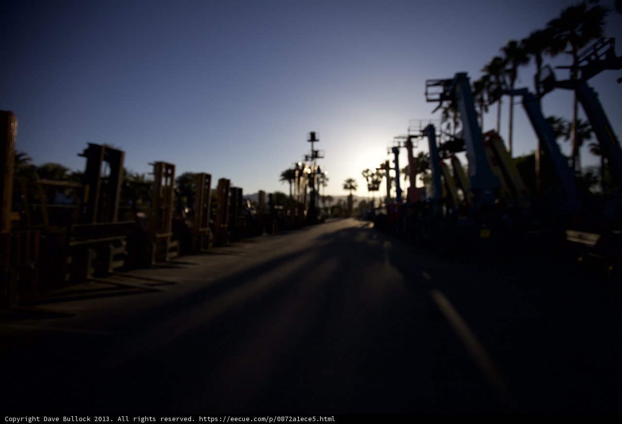 Nighttime Street with Palm Trees