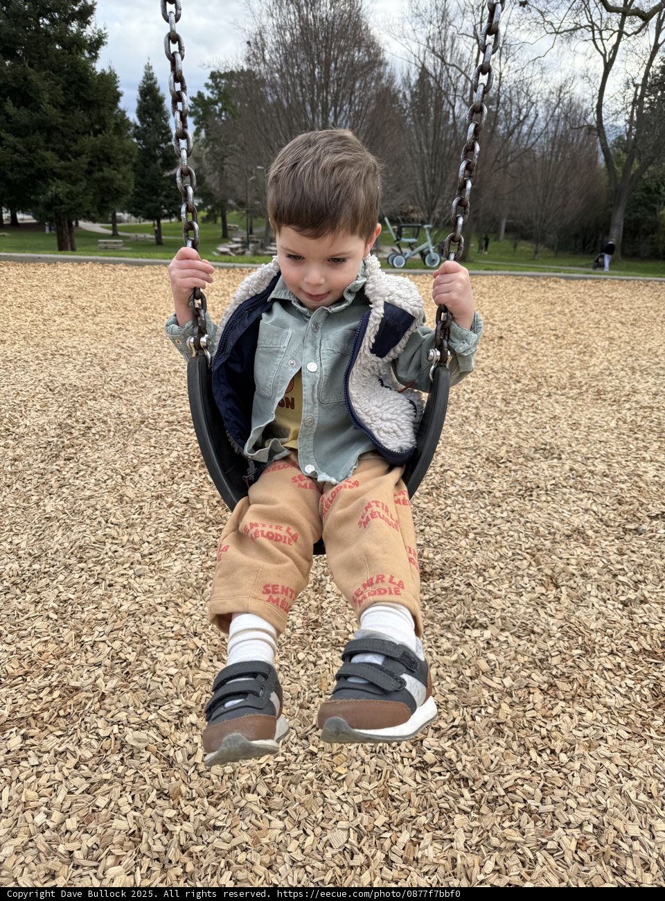 Playground Adventures in Larkey Park