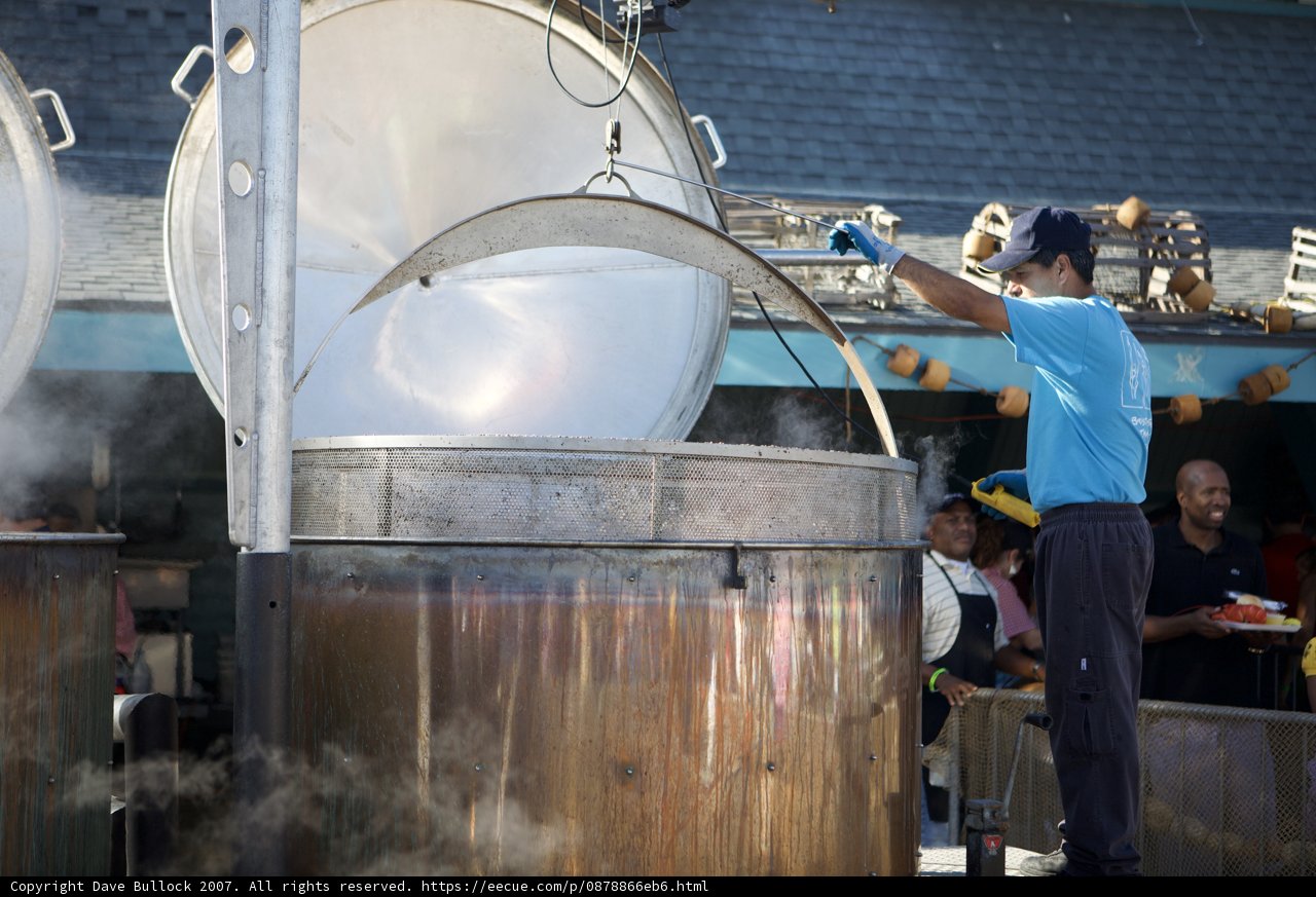 Cooking up a Storm at the Lobster Festival