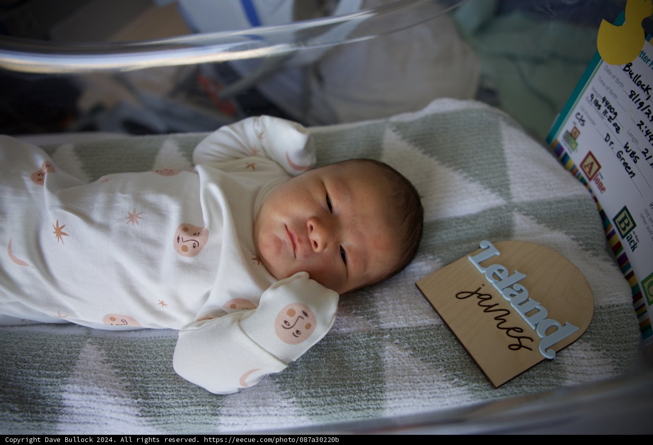 Welcome to the World, Leland James