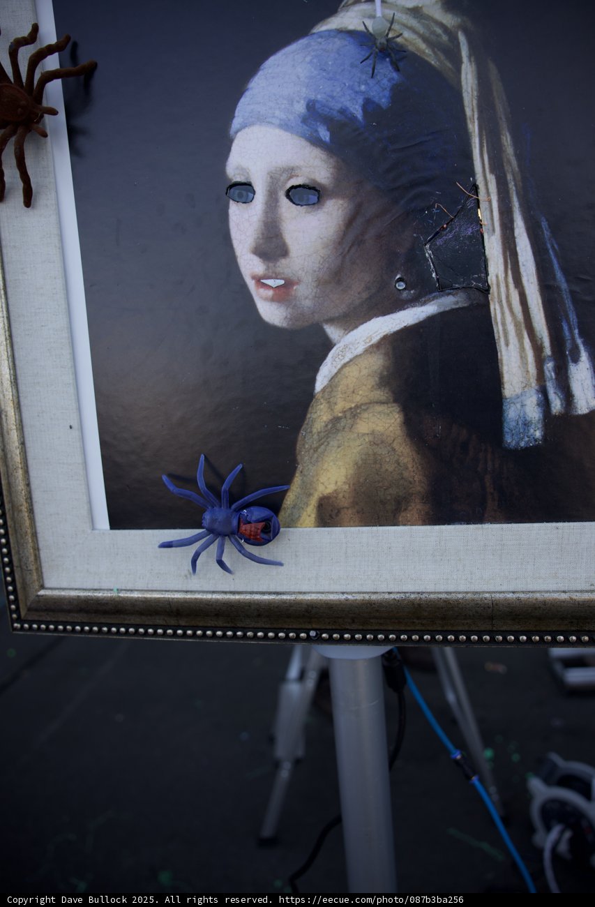 The Curious Case of the Framed Arachnid