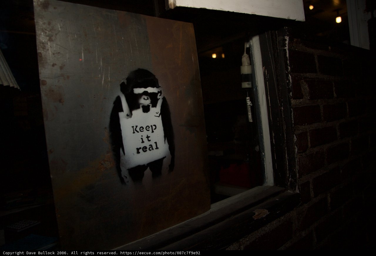 Keepin' it Real Monkey