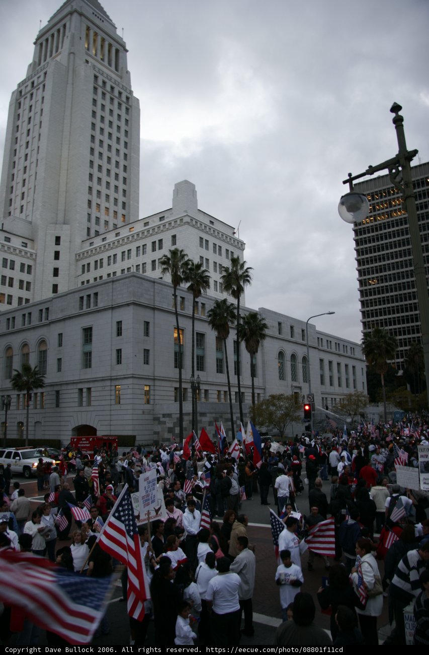 Patriotic Gathering in the Heart of Metropolis