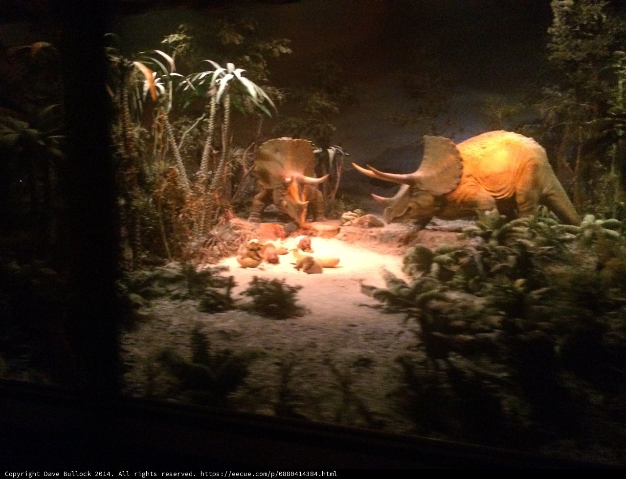 Night at the Dino Museum