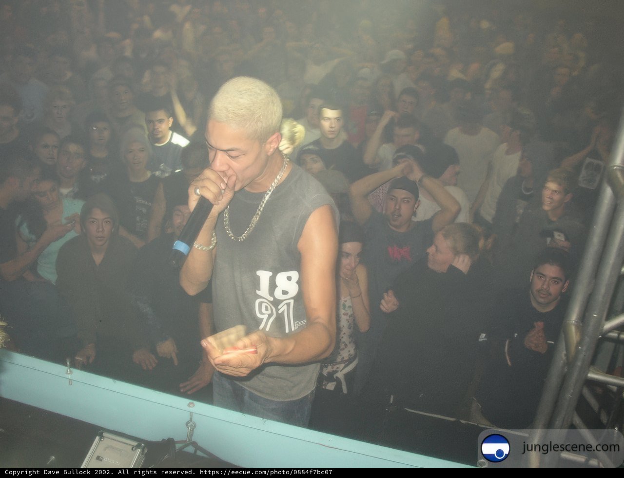 Nightclub Singer Rocks Out with the Crowd