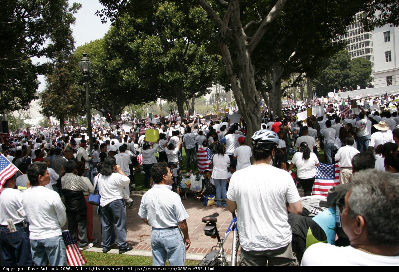 Gathering in the Park