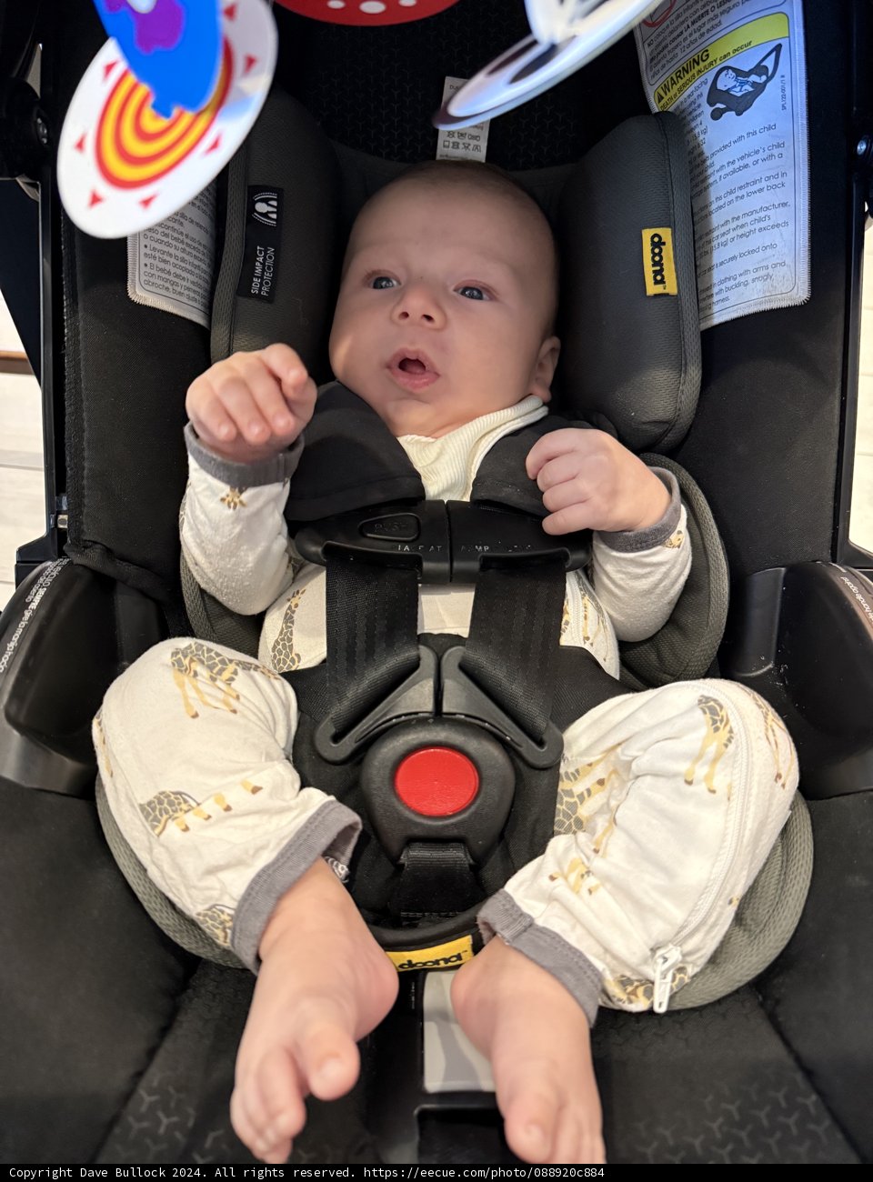 Cozy Travels with Leland