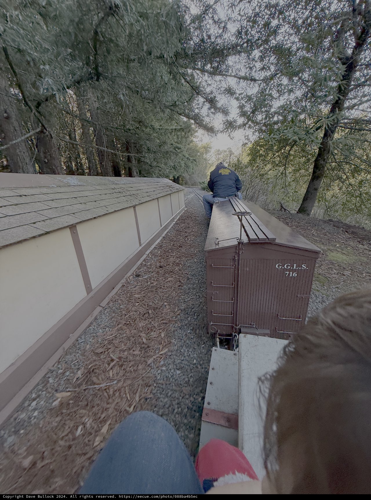 Vintage Railway Journey Through Forest Cutting