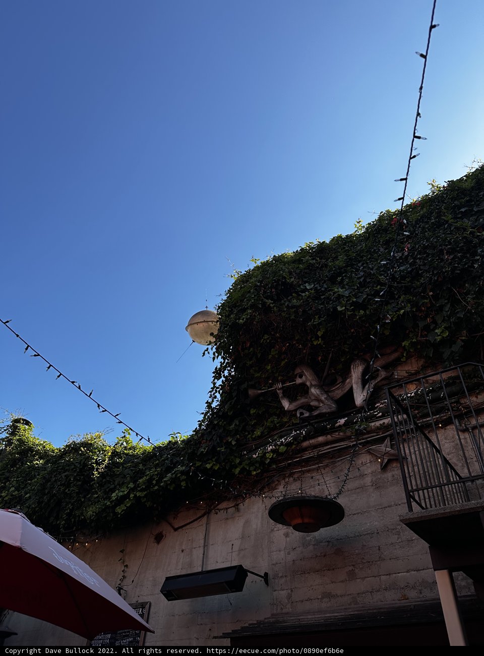 Ivy-covered Shelter in Berkeley