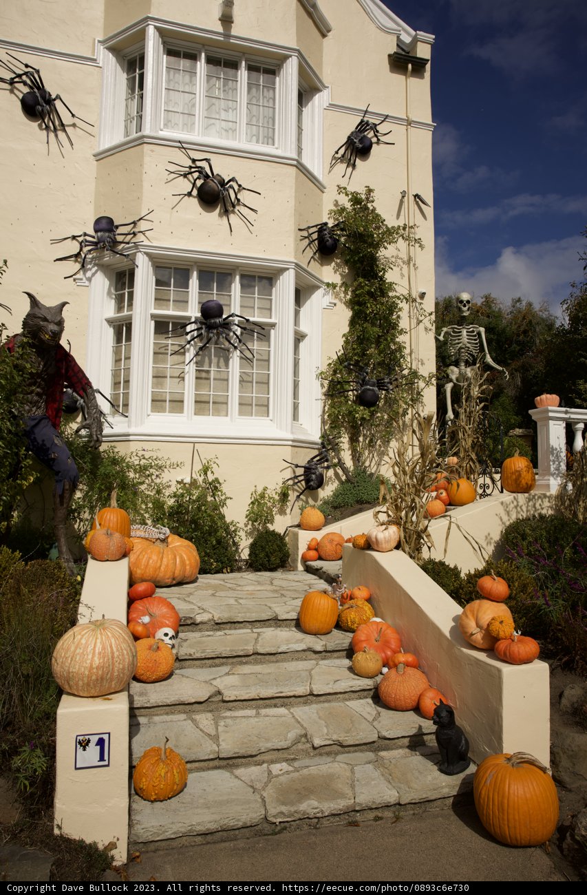 Spooky Spectacle in San Francisco