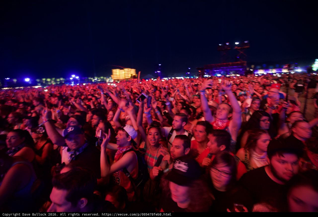 A Night of Music and Lights
