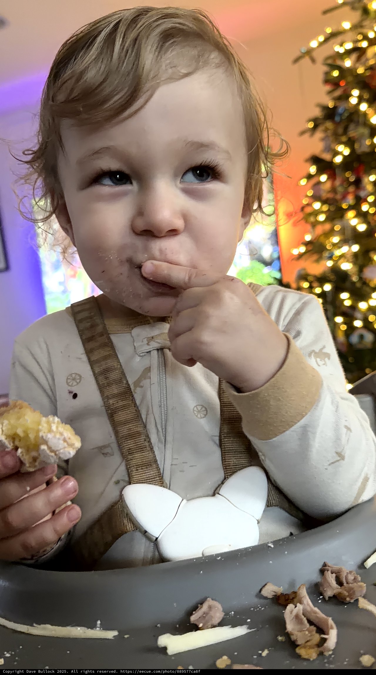 Toddler's Messy Christmas Cake Smash Celebration