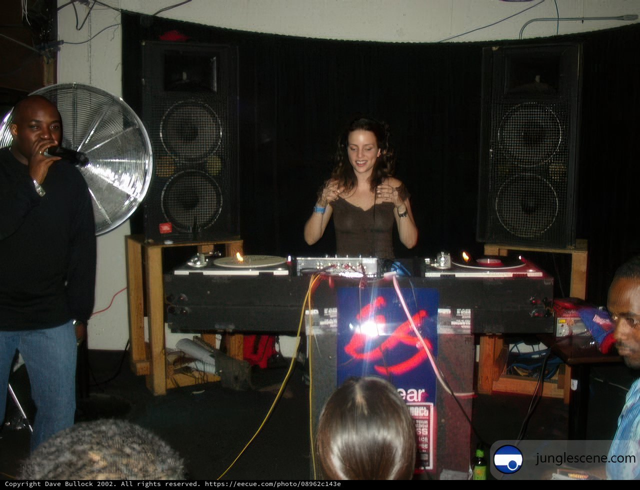 DJing in Style