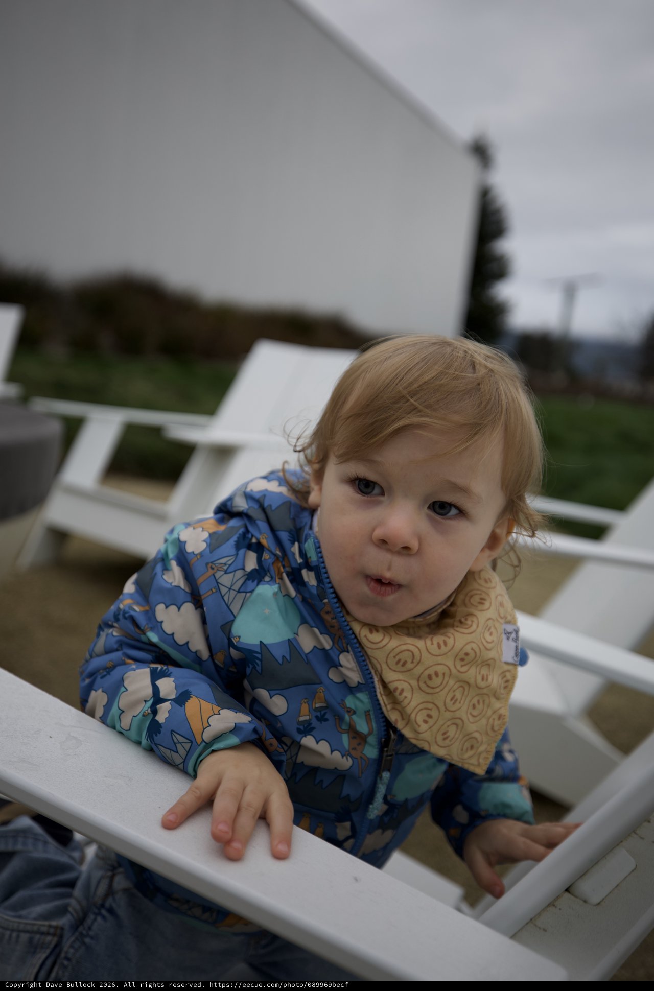 Toddler in Blue Patterned Jacket at Outdoor Dining