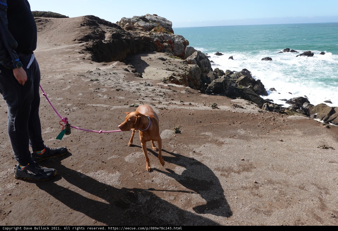 Beach Walkies