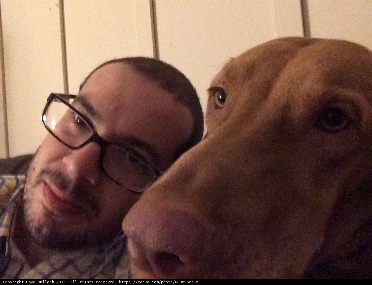 Man and Dog Pose for Portrait in Altadena