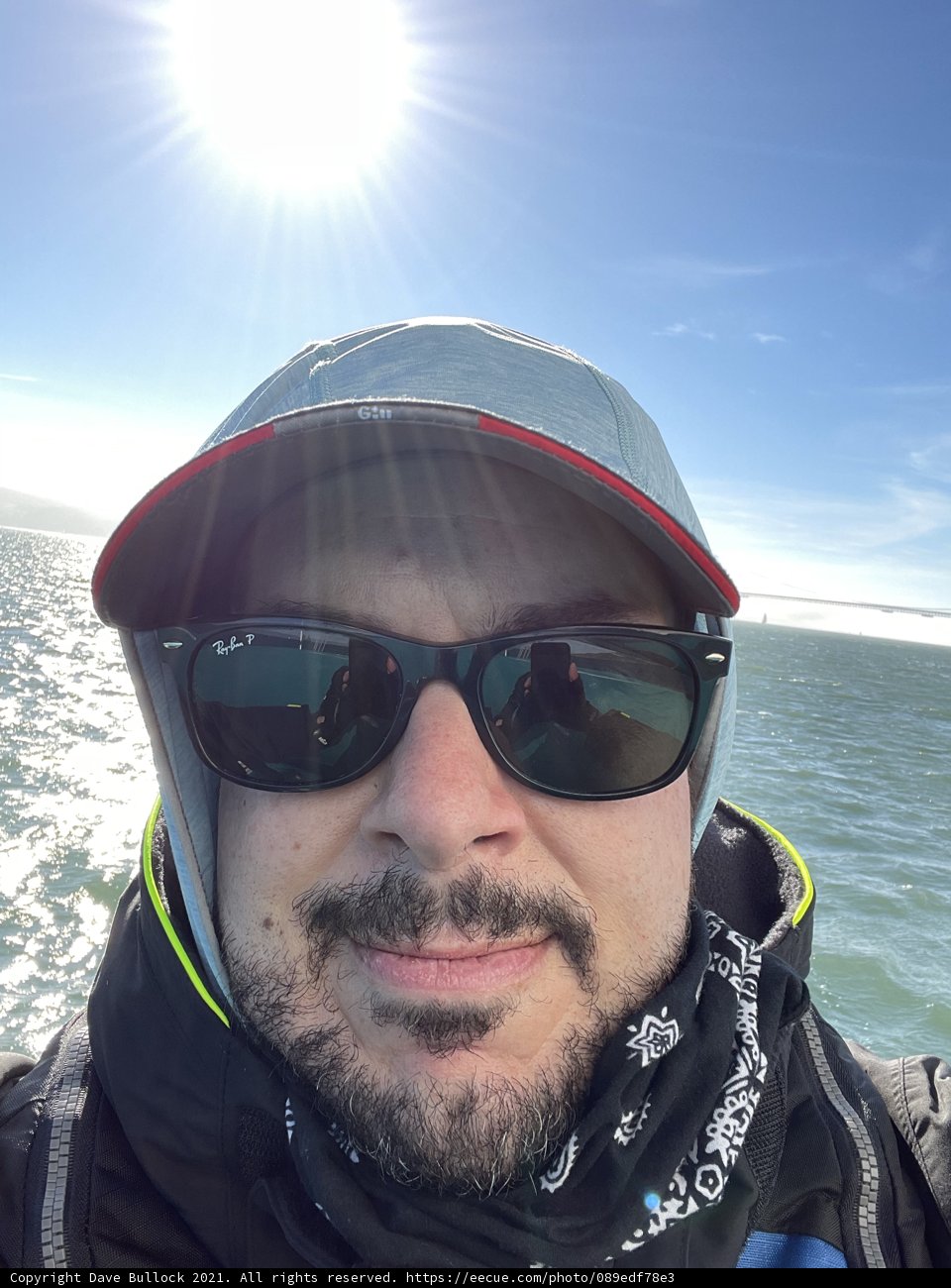 Relaxing in the Bay