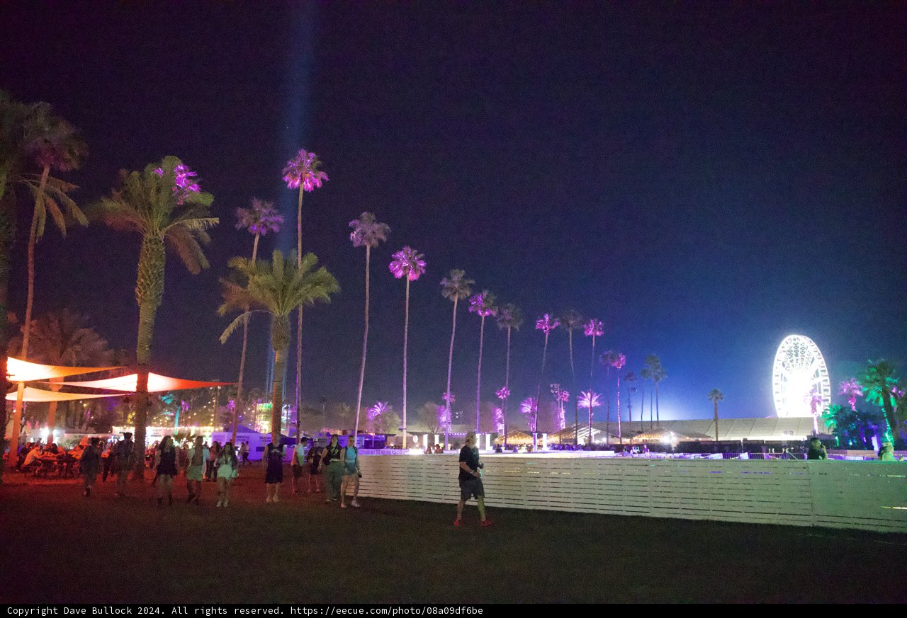 Electric Nights at Coachella 2024