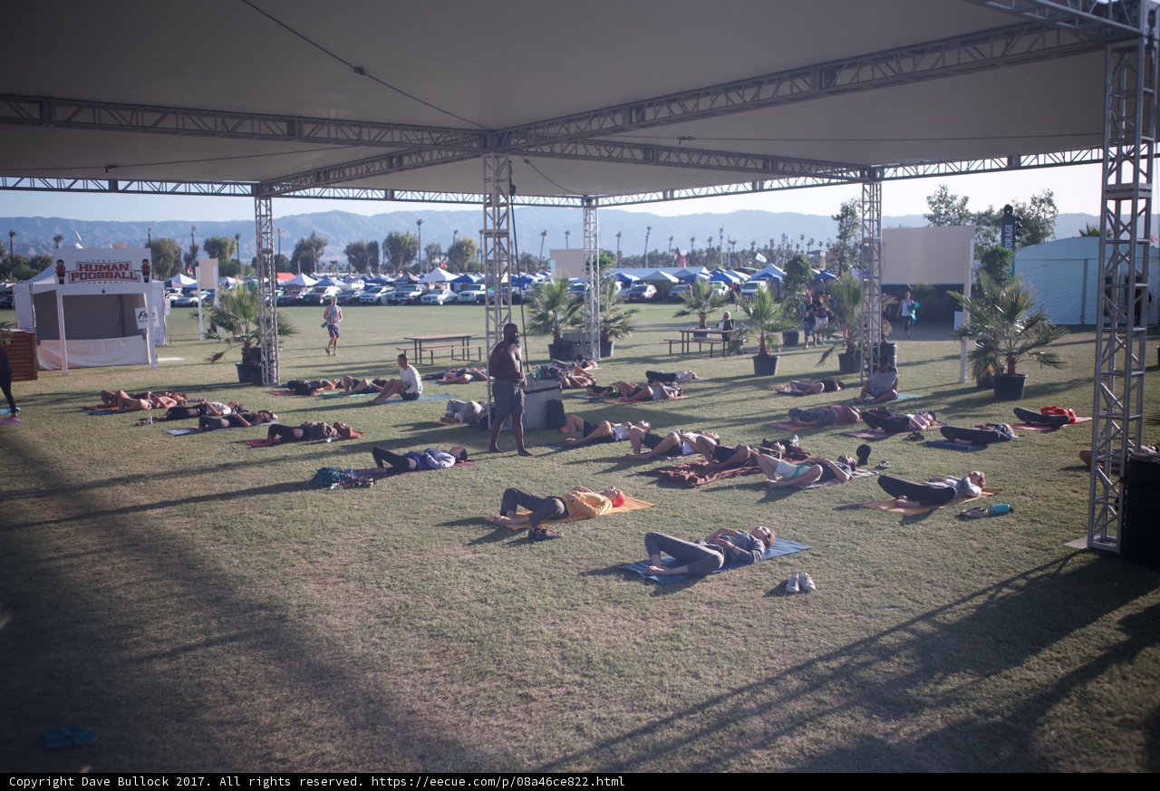 Relaxing on the Grass at Coachella