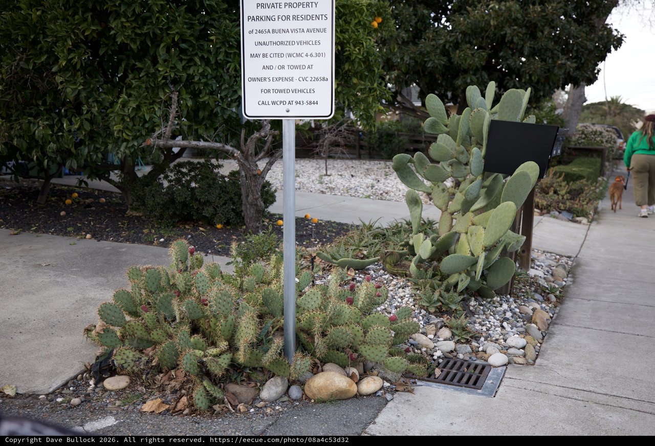Private Property Parking Sign with Desert Landscaping