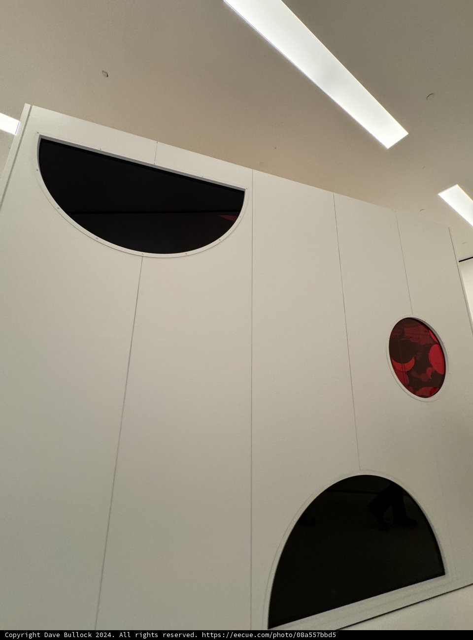 Kusama's Polka Dot Turbulence in SF MoMA, 2024