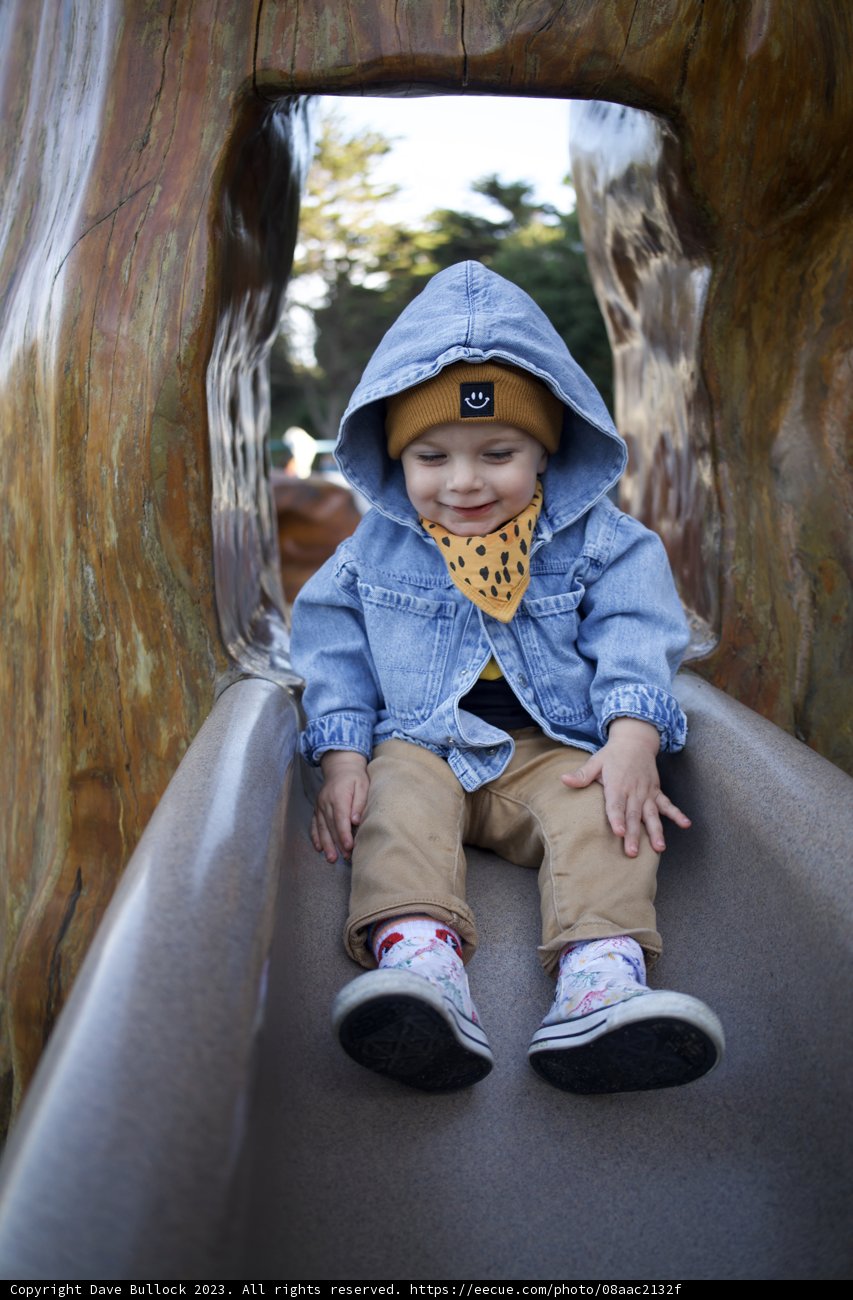 Playful Afternoon at SF Zoo