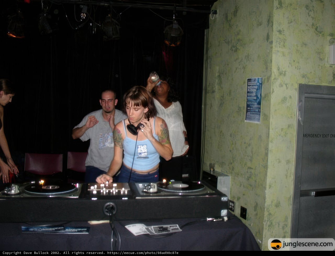 The Ultimate Party DJ