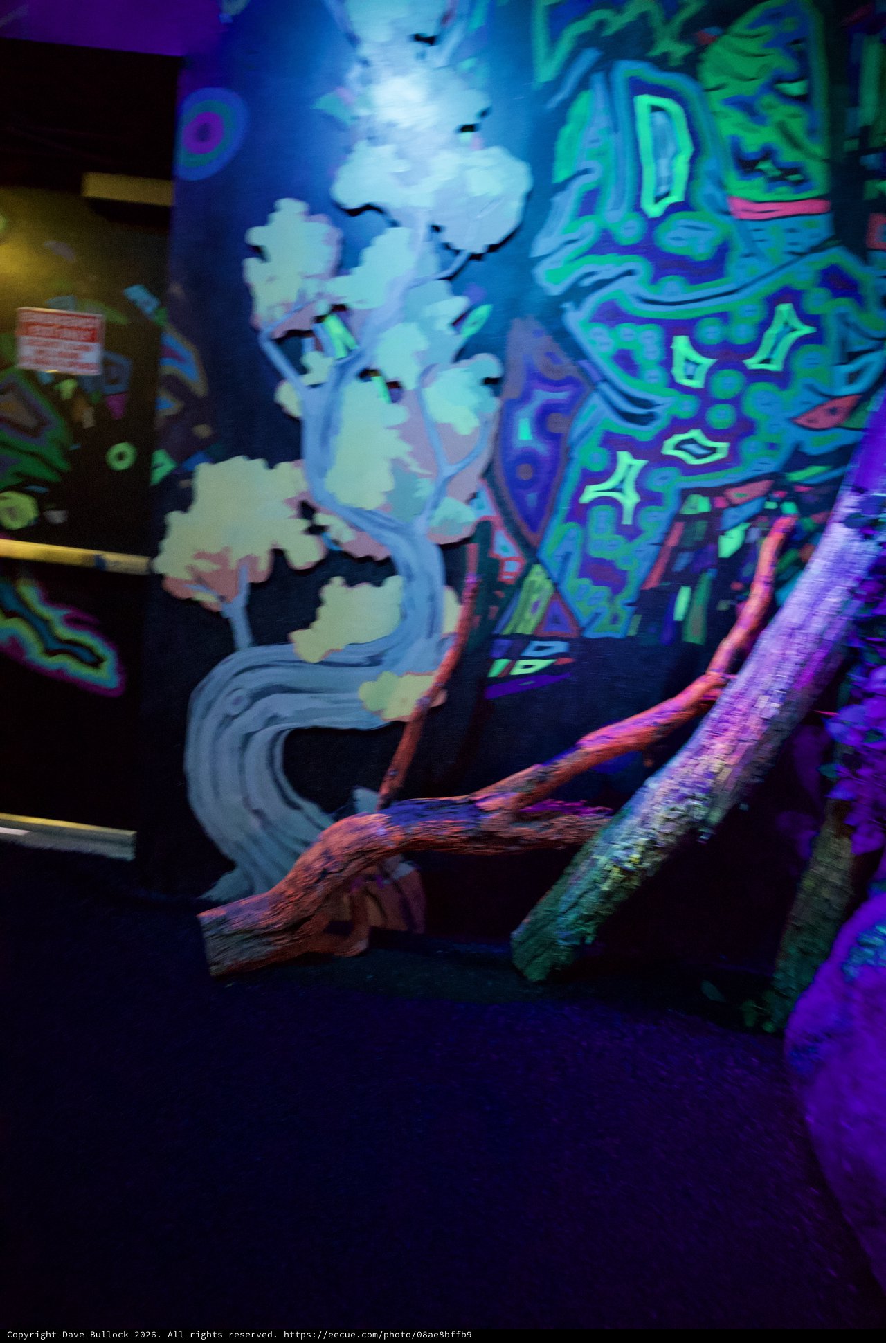 Neon Graffiti Art Installation with Tree Branch Sculpture