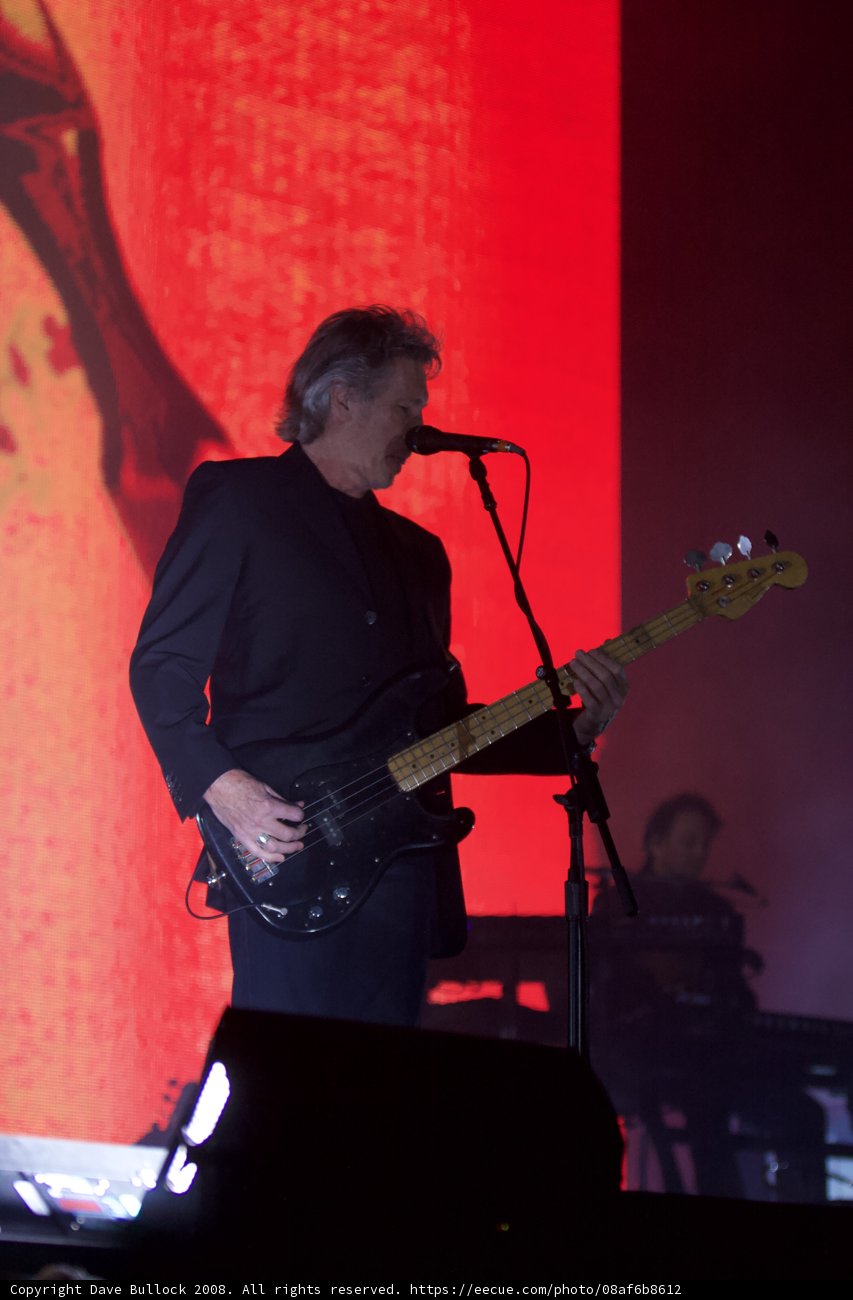 Bassist on Stage