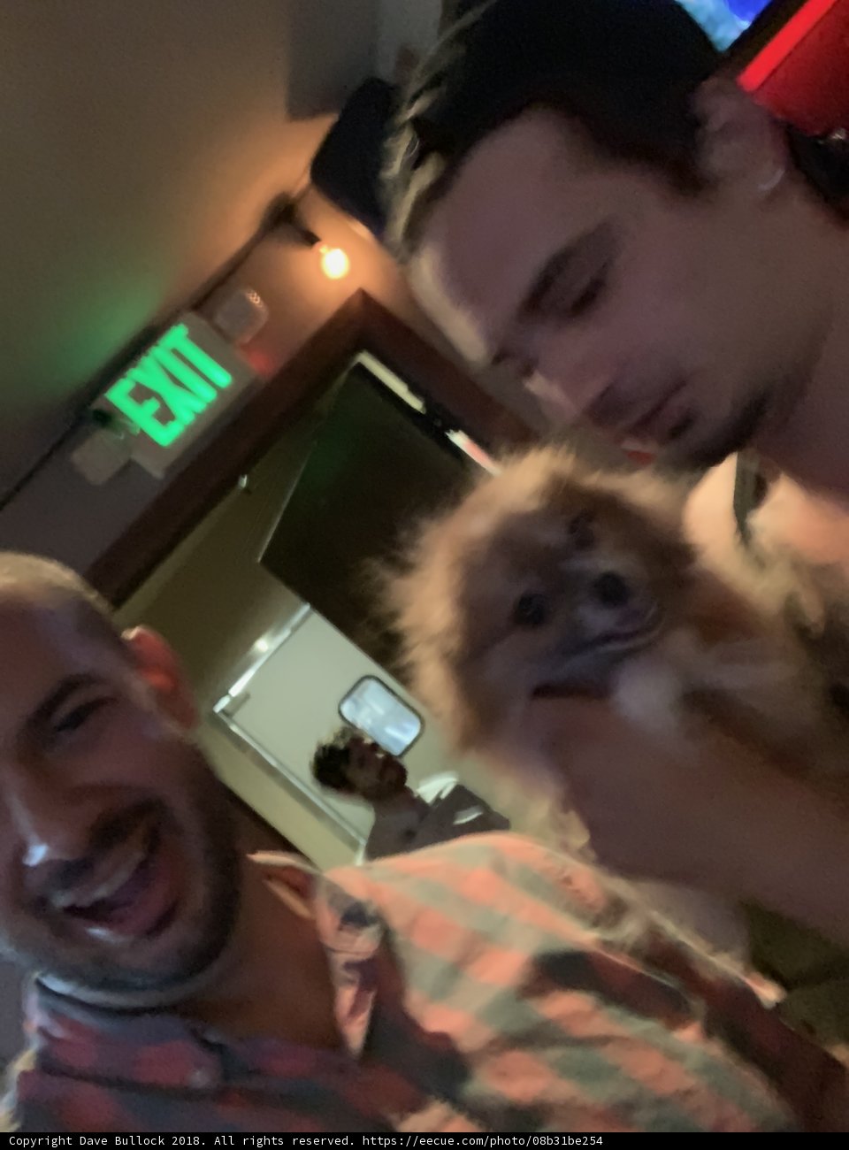 Two men and their furry bar buddy
